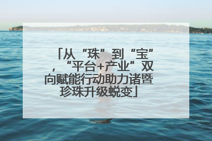 从“珠”到“宝”，“平台+产业”双向赋能行动助力诸暨珍珠升级蜕变