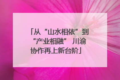从“山水相依”到“产业相融” 川渝协作再上新台阶
