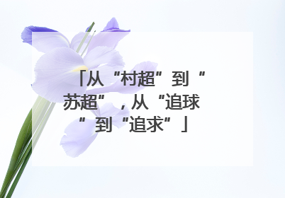 从“村超”到“苏超”，从“追球”到“追求”