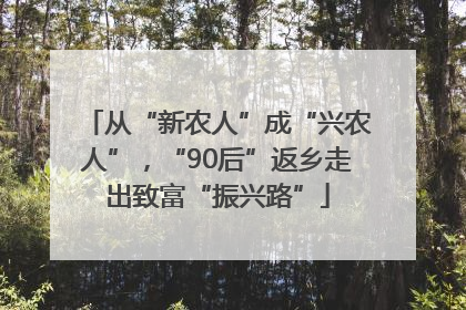 从“新农人”成“兴农人”，“90后”返乡走出致富“振兴路”