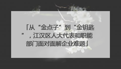 从“金点子”到“金钥匙”，江汉区人大代表和职能部门面对面解企业难题