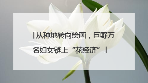 从种地转向绘画，巨野万名妇女链上“花经济”