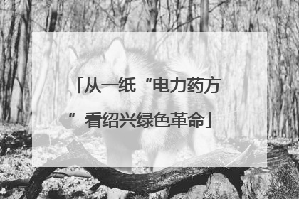 从一纸“电力药方”看绍兴绿色革命