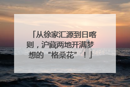 从徐家汇源到日喀则，沪藏两地开满梦想的“格桑花”！