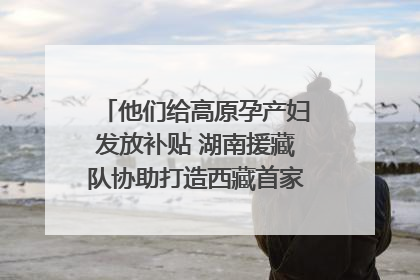 他们给高原孕产妇发放补贴 湖南援藏队协助打造西藏首家高原产儿协同中心