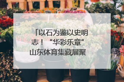 以石为鉴以史明志！“华彩乐章”山东体育集藏展聚焦“岱石丹心”