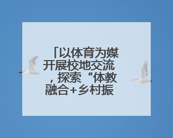 以体育为媒开展校地交流，探索“体教融合+乡村振兴”新路径