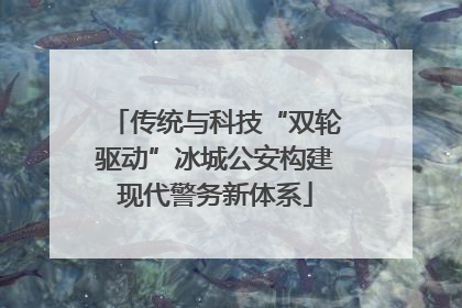 传统与科技“双轮驱动”冰城公安构建现代警务新体系