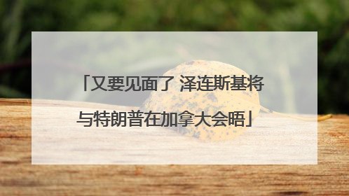 又要见面了 泽连斯基将与特朗普在加拿大会晤