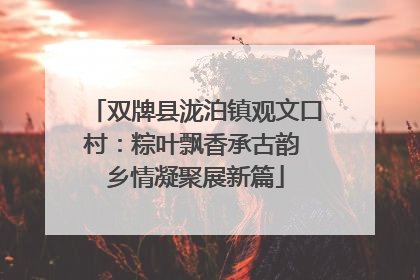 双牌县泷泊镇观文口村：粽叶飘香承古韵 乡情凝聚展新篇
