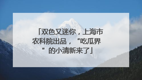 双色又迷你，上海市农科院出品，“吃瓜界”的小清新来了