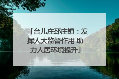 台儿庄邳庄镇：发挥人大监督作用 助力人居环境提升
