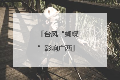 台风“蝴蝶”影响广西