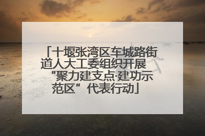 十堰张湾区车城路街道人大工委组织开展 “聚力建支点·建功示范区”代表行动