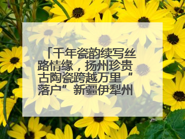 千年瓷韵续写丝路情缘，扬州珍贵古陶瓷跨越万里“落户”新疆伊犁州博物馆