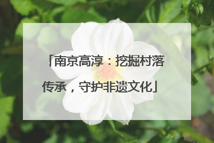 南京高淳：挖掘村落传承，守护非遗文化