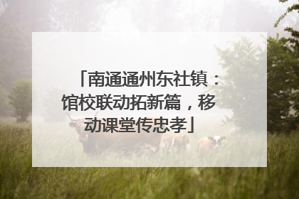 南通通州东社镇：馆校联动拓新篇，移动课堂传忠孝