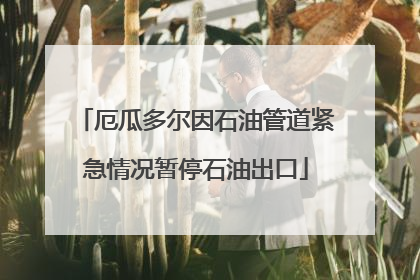 厄瓜多尔因石油管道紧急情况暂停石油出口