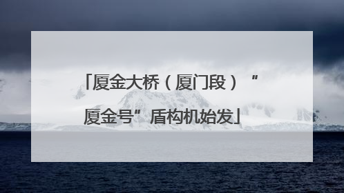 厦金大桥（厦门段）“厦金号”盾构机始发