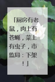 厨房有老鼠，肉上有苍蝇，菜上有虫子，市监局：下架！
