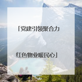 党建引领聚合力 红色物业暖民心