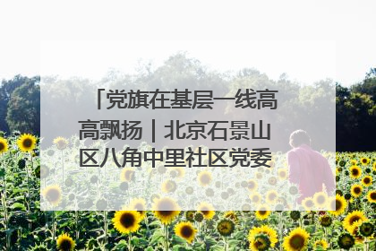 党旗在基层一线高高飘扬｜北京石景山区八角中里社区党委：用脚步丈量民生