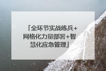 全环节实战练兵+网格化力量部署+智慧化应急管理