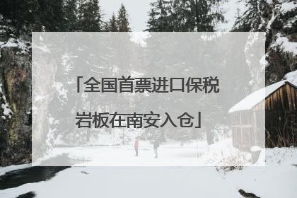 全国首票进口保税岩板在南安入仓