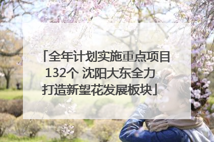 全年计划实施重点项目132个 沈阳大东全力打造新望花发展板块