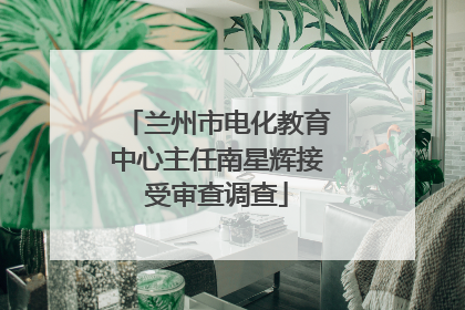 兰州市电化教育中心主任南星辉接受审查调查