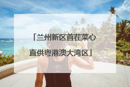 兰州新区首茬菜心直供粤港澳大湾区