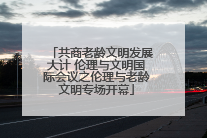 共商老龄文明发展大计 伦理与文明国际会议之伦理与老龄文明专场开幕