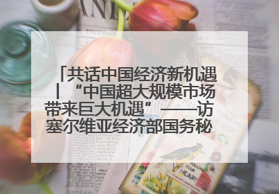 共话中国经济新机遇丨“中国超大规模市场带来巨大机遇”——访塞尔维亚经济部国务秘书尼科利奇