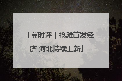 冀时评｜抢滩首发经济 河北持续上新