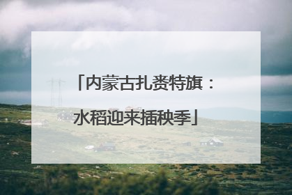 内蒙古扎赉特旗：水稻迎来插秧季