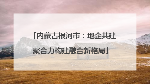 内蒙古根河市：地企共建聚合力构建融合新格局