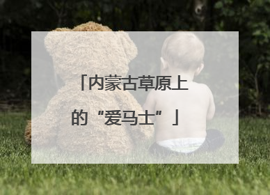 内蒙古草原上的“爱马士”