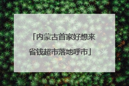 内蒙古首家好想来省钱超市落地呼市