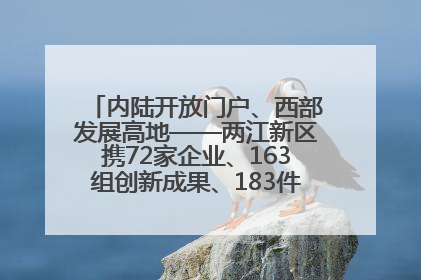 内陆开放门户、西部发展高地——两江新区携72家企业、163组创新成果、183件特色产品亮相西洽会