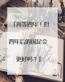再等四年！但四年后的国足会更好吗？