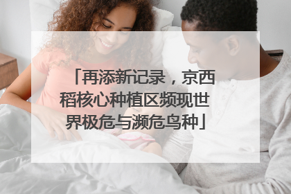 再添新记录，京西稻核心种植区频现世界极危与濒危鸟种