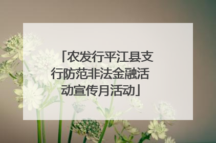 农发行平江县支行防范非法金融活动宣传月活动