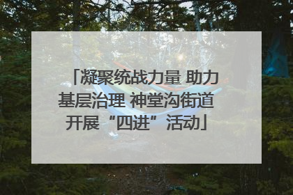 凝聚统战力量 助力基层治理 神堂沟街道开展“四进”活动