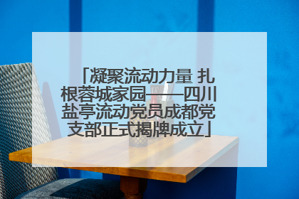 凝聚流动力量 扎根蓉城家园——四川盐亭流动党员成都党支部正式揭牌成立