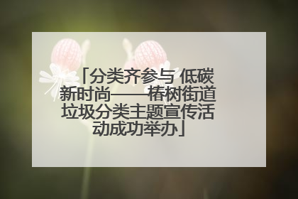 分类齐参与 低碳新时尚——椿树街道垃圾分类主题宣传活动成功举办