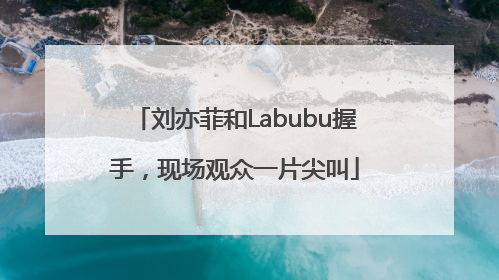 刘亦菲和Labubu握手，现场观众一片尖叫
