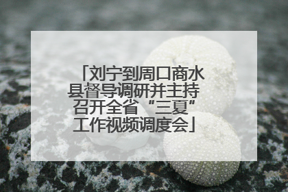 刘宁到周口商水县督导调研并主持召开全省“三夏”工作视频调度会
