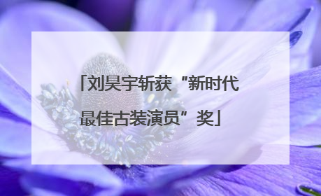 刘昊宇斩获“新时代最佳古装演员”奖