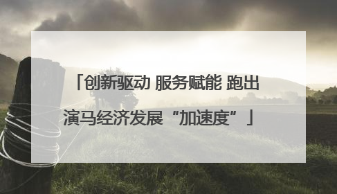 创新驱动 服务赋能 跑出演马经济发展“加速度”