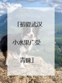 初夏武汉小水果广受青睐